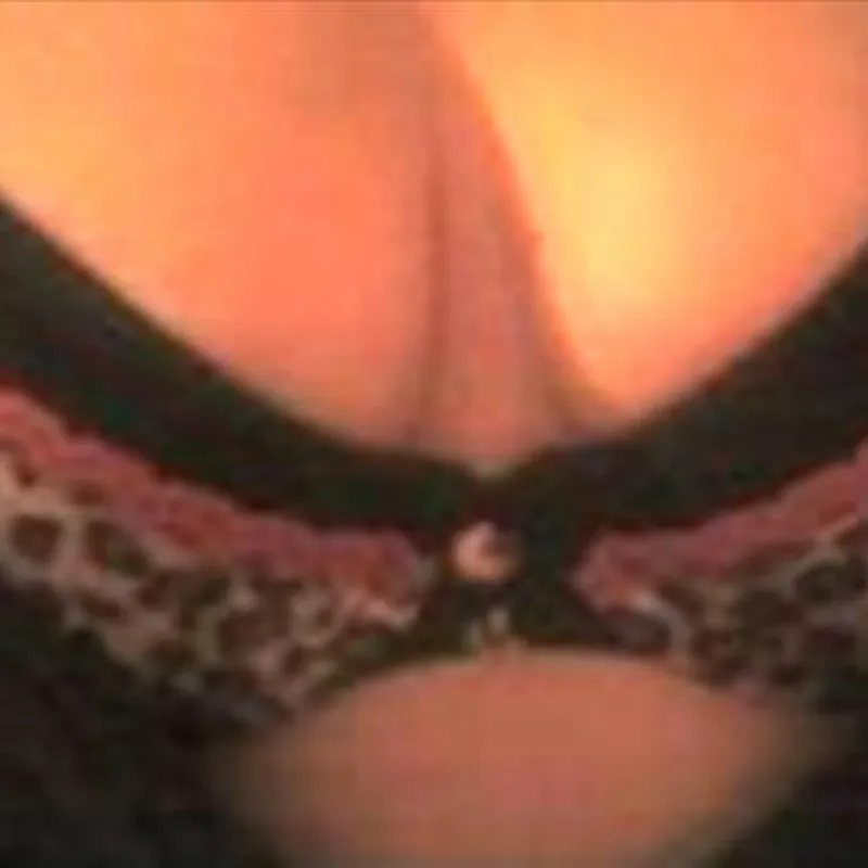 Profilbild von andrea14, 37 Jahre aus Flensburg