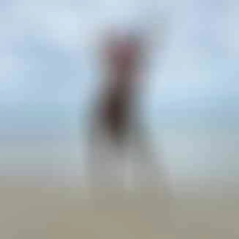 Profilbild von Catcamaleon, 25 Jahre aus Osnabrück