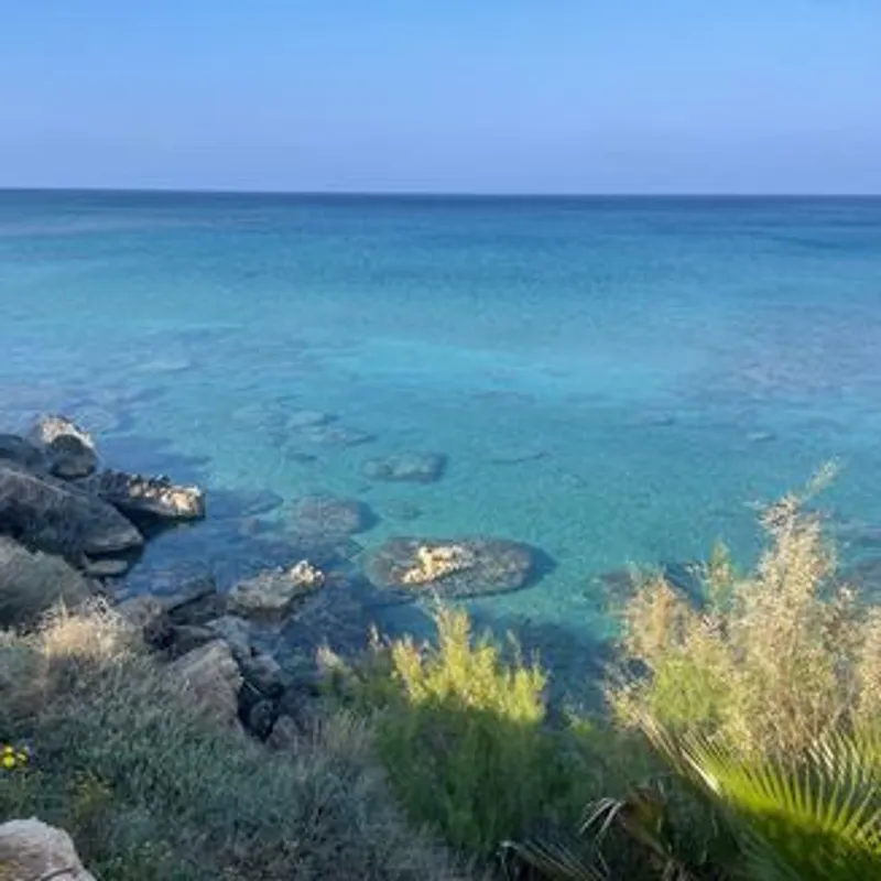 Profilbild von cyama2020030401, 34 Jahre aus Saarbrücken