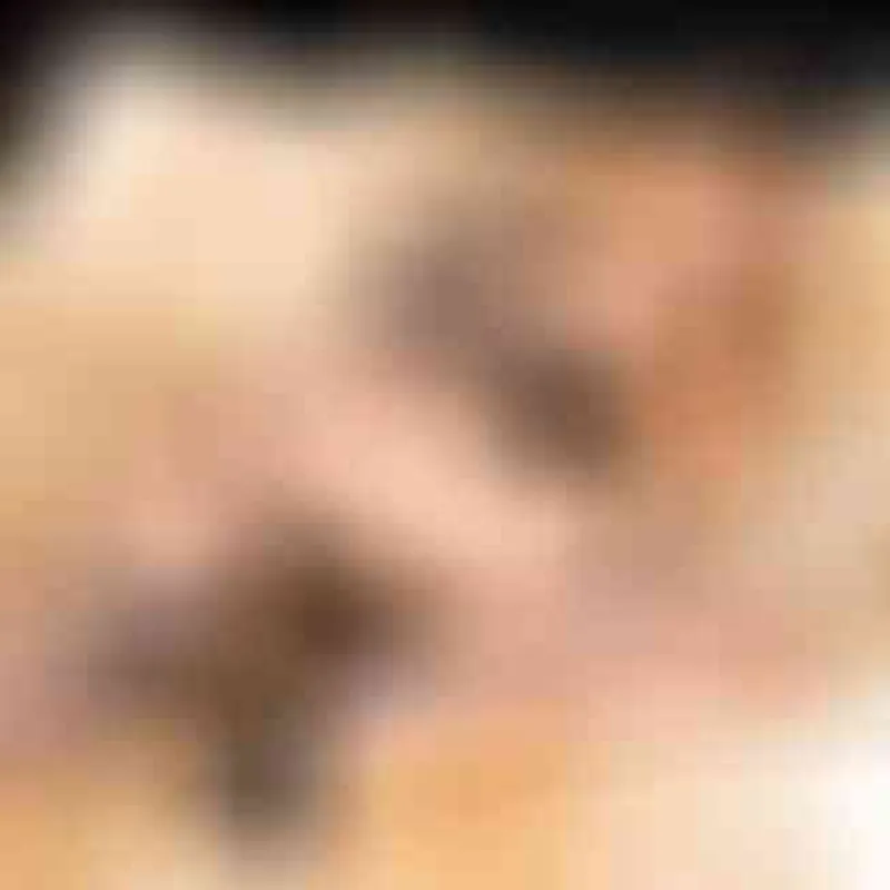 Profilbild von Ella-Wolff, 30 Jahre aus Osnabrück