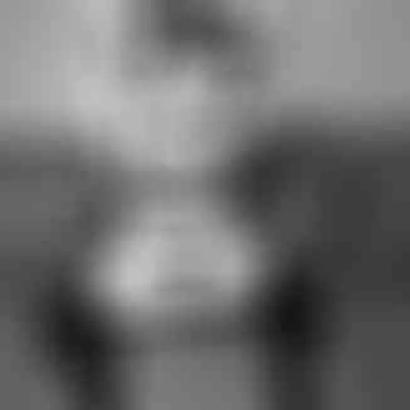 Profilbild von Lexi_Grey, 35 Jahre aus Erfurt