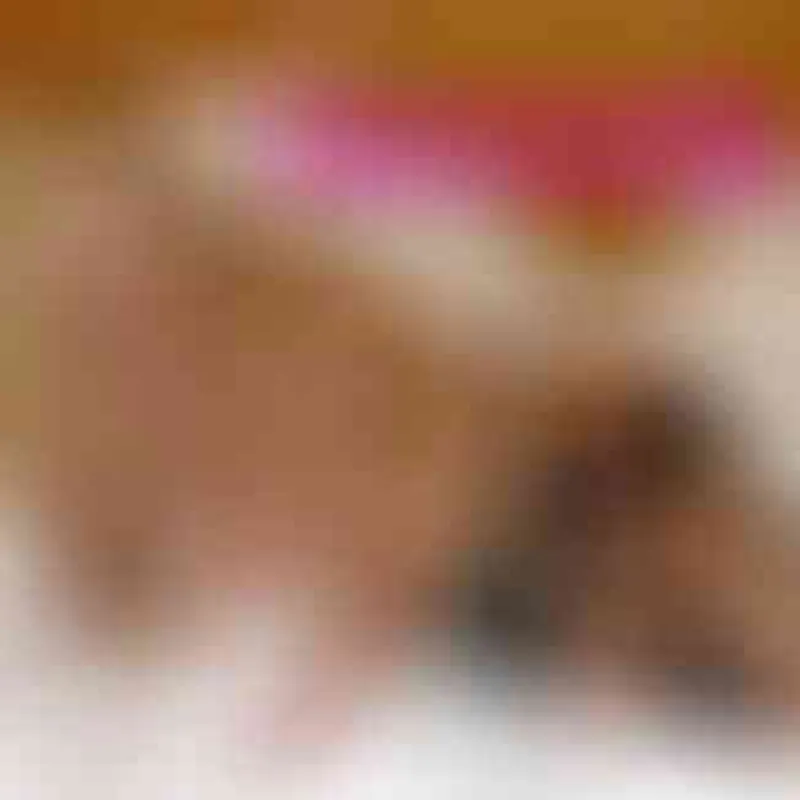 Profilbild von manuela3, 56 Jahre aus Magdeburg