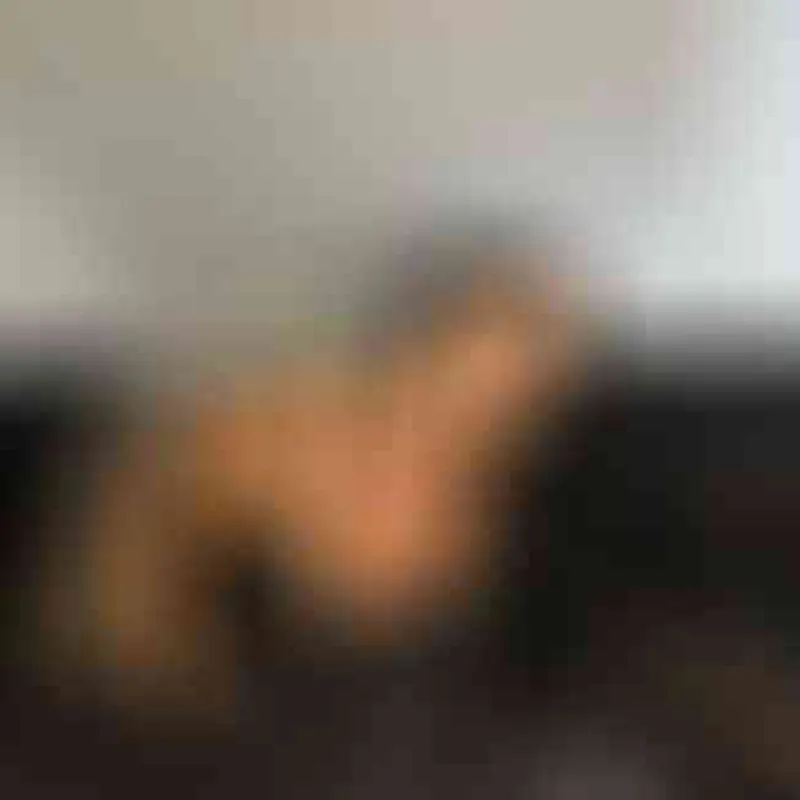 Profilbild von Mia-Bremer, 24 Jahre aus Augsburg