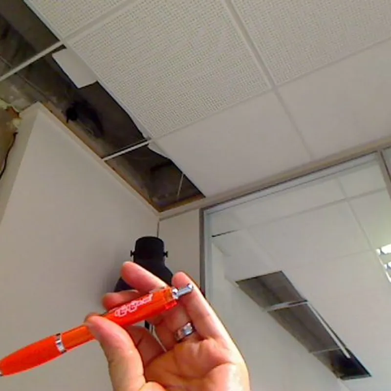 Profilbild von Momo78, 38 Jahre aus Magdeburg