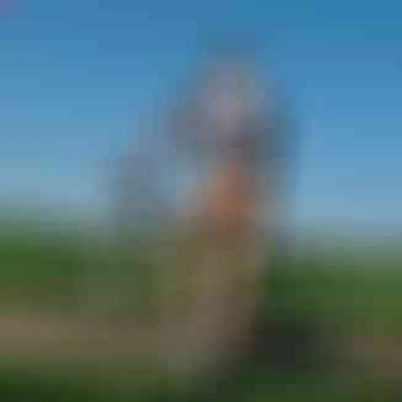 Profilbild von nylonjunge, 51 Jahre aus Schwerin