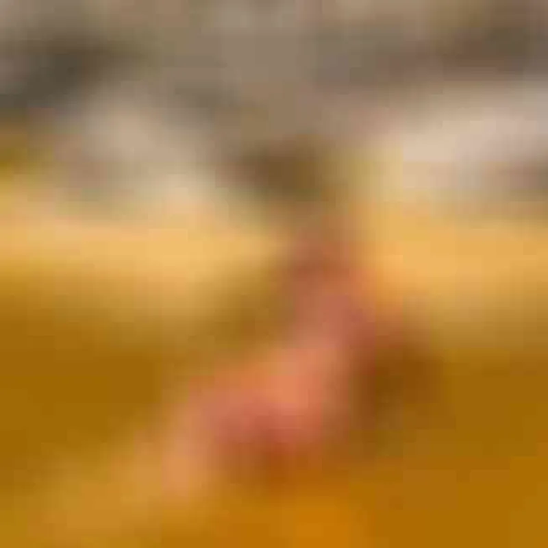 Profilbild von Pee_Girl, 37 Jahre aus Ludwigshafen