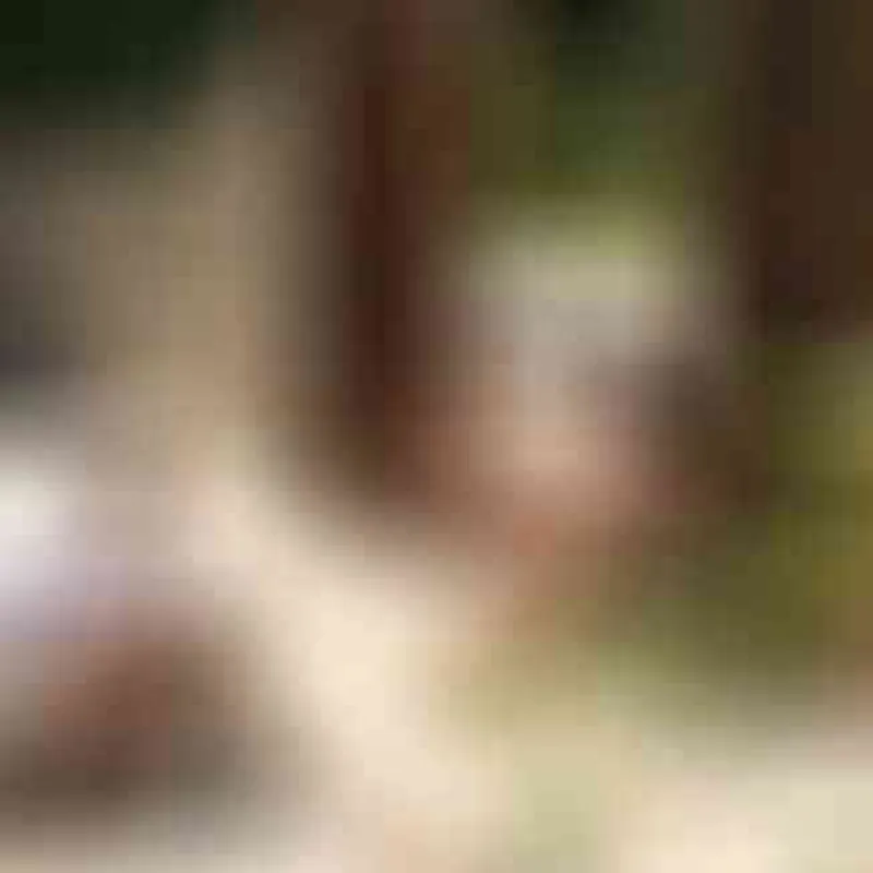 Profilbild von s*xtermedia, 62 Jahre aus Hamburg