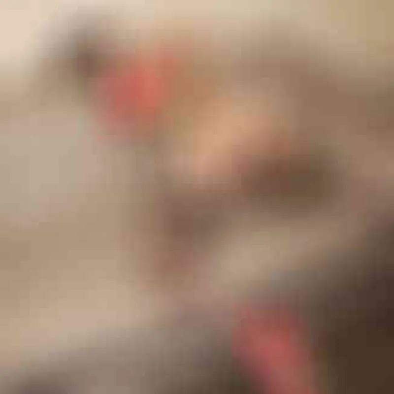 Profilbild von s*xwife44, 54 Jahre aus Ludwigshafen