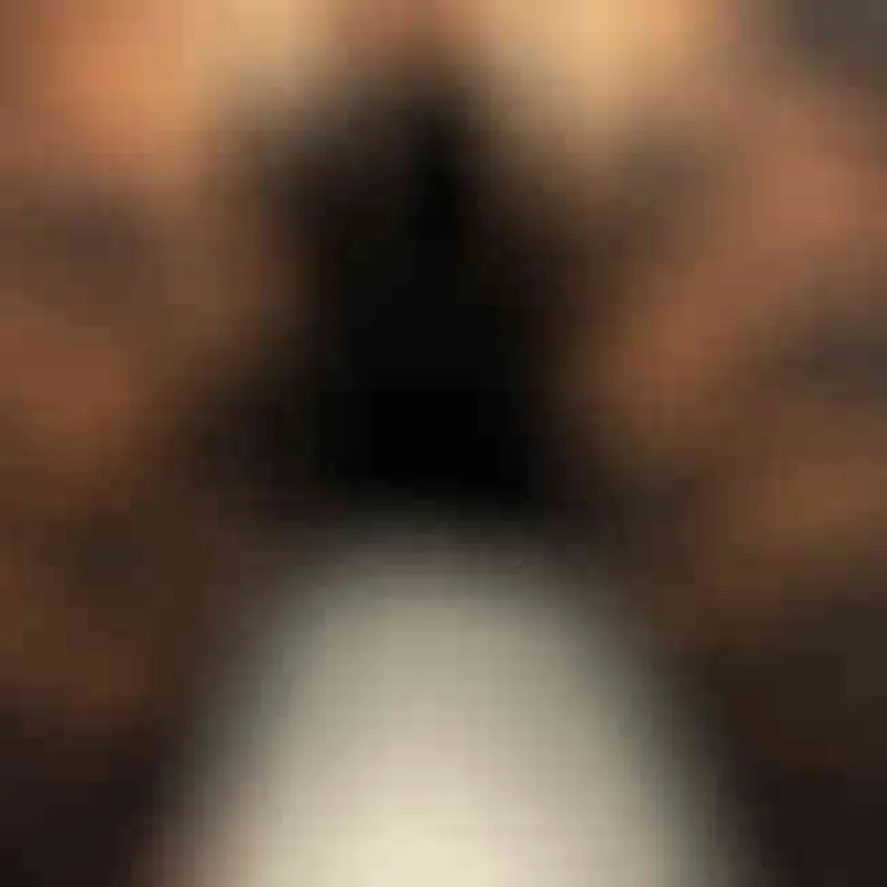 Profilbild von Sub-Samira, 45 Jahre aus Bremerhaven