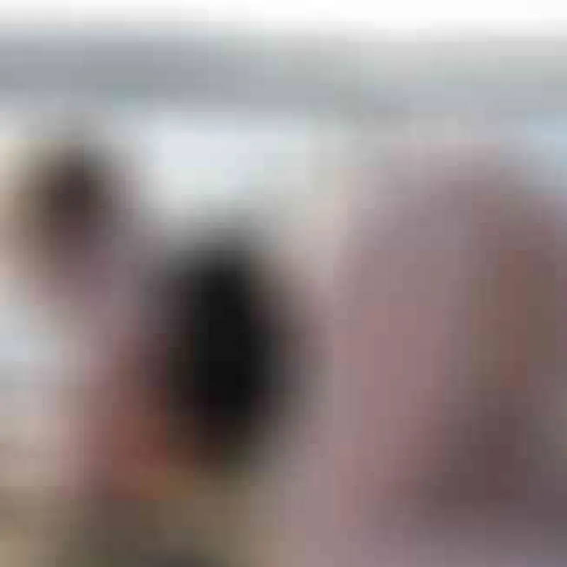 Profilbild von SweetPummelfee, 40 Jahre aus Freiburg