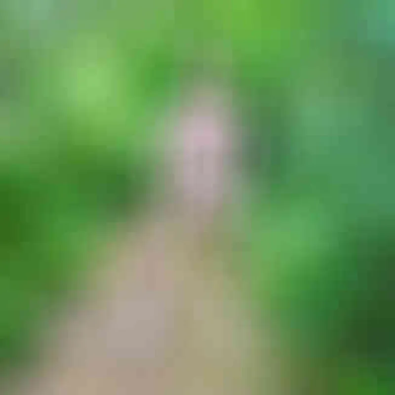 Profilbild von valerspreid1, 36 Jahre aus Saarbrücken