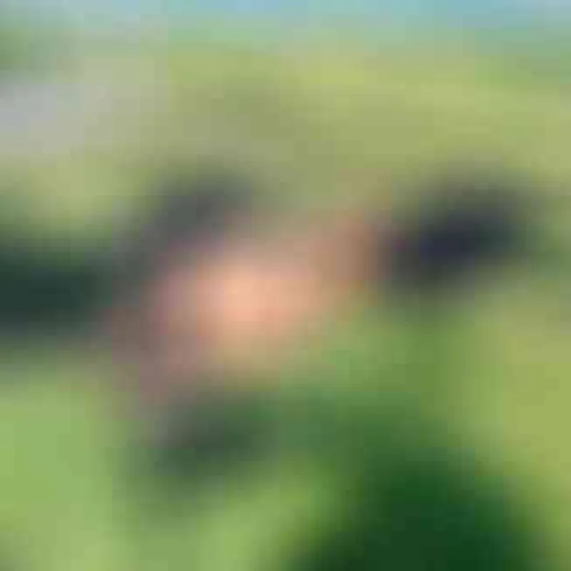 Profilbild von violetaarmitt, 40 Jahre aus Saarbrücken