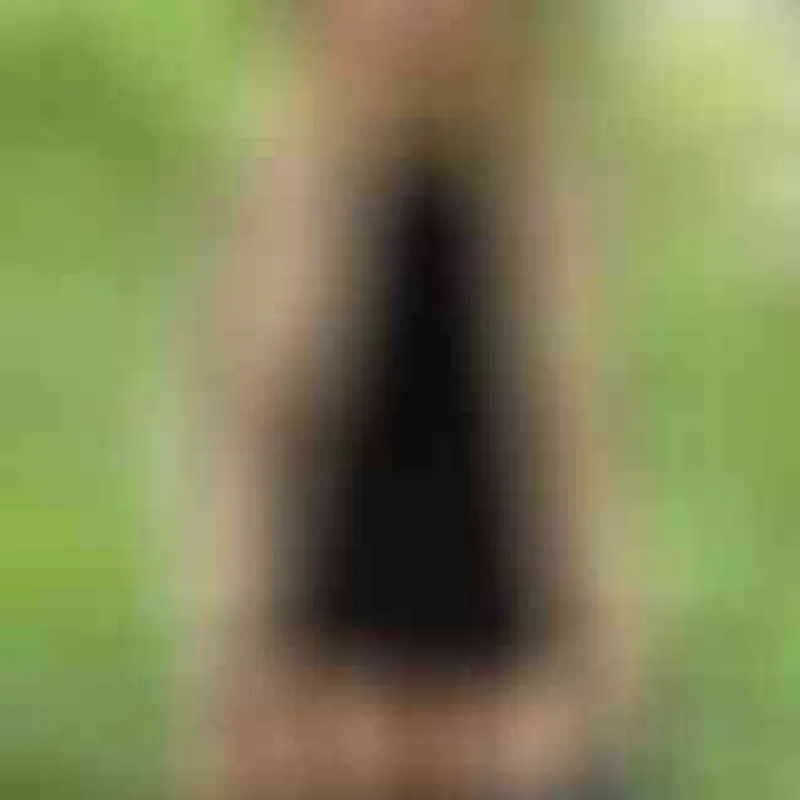 Profilbild von vivien_sin, 33 Jahre aus Berlin