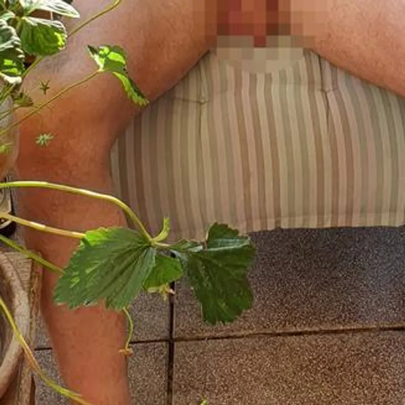 Profilbild von w*xxer-2336, 56 Jahre aus Hamburg